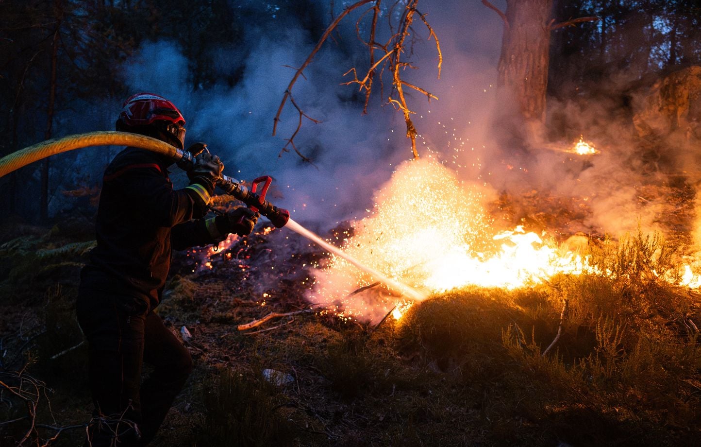 Fontainebleau en alerta… El incendio ha comenzado de nuevo pero ya está “solucionado” Fontainebleau en alerta… El incendio ha comenzado de nuevo pero ya está “solucionado”